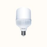 Polycrome LED High Power 50W_1