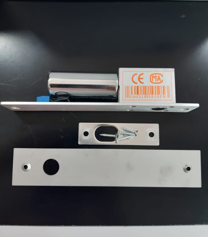 Redlink Electric Bolt Lock RL-YH-200S